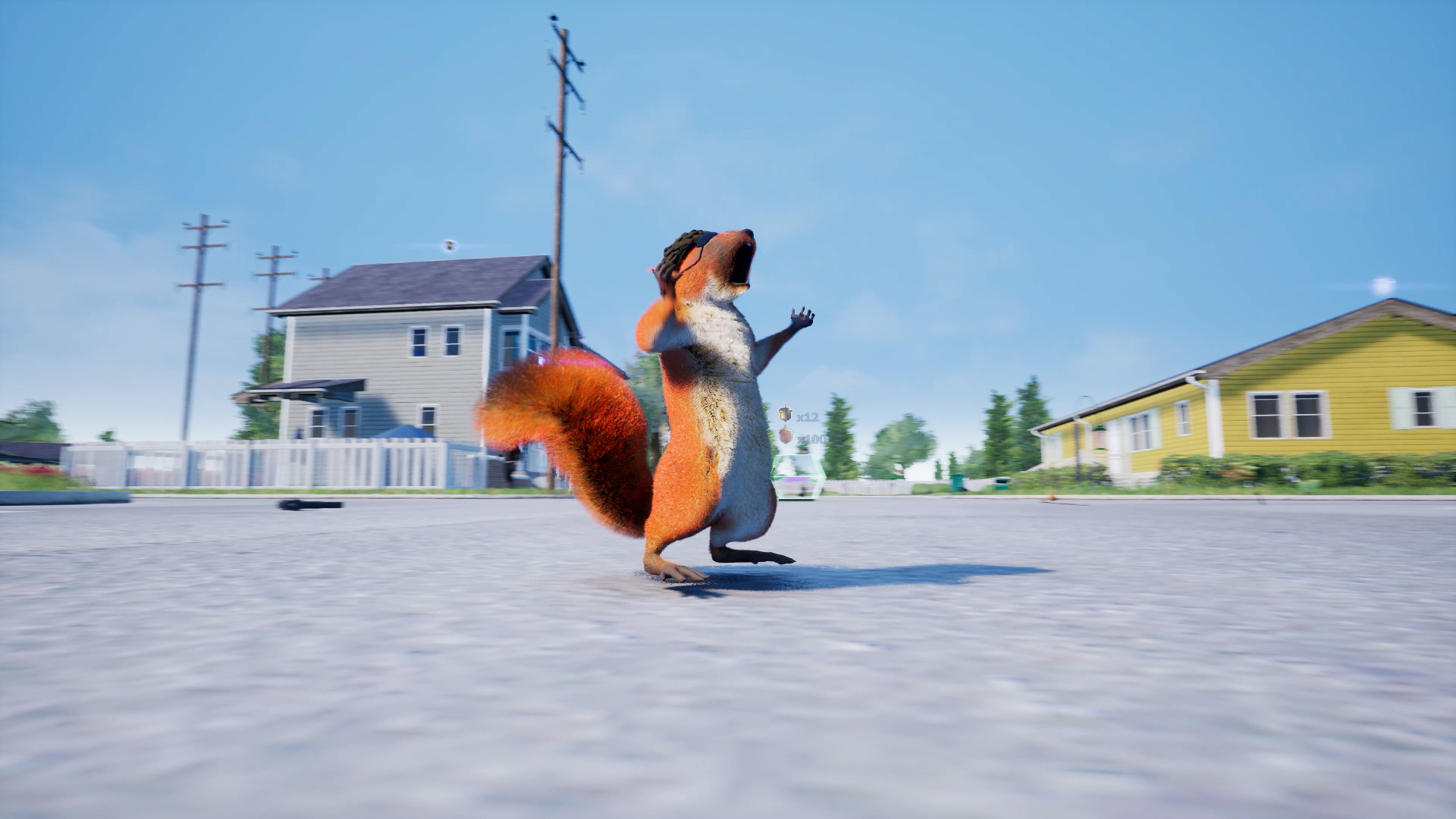 Squirrel With A Gun